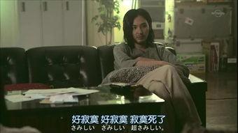 国产爱视频,展现中国爱情故事的多彩画卷